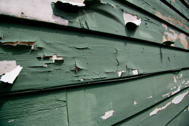 Best Siding Replacement  in Newberg, OR