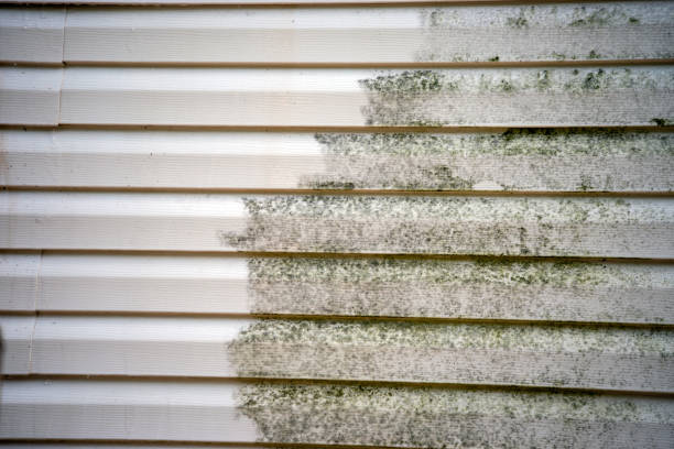 Best Custom Siding Design  in Newberg, OR